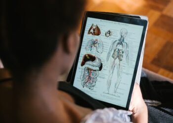 Wo ist der Blinddarm im menschlichen Körper